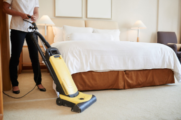 carpet cleaning