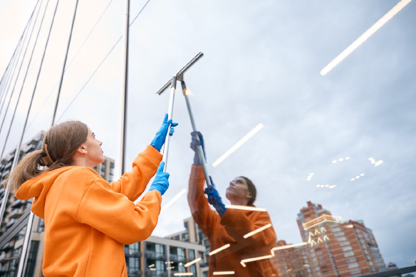 customized window cleaning