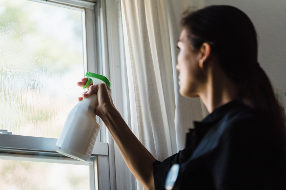 residential window cleaning